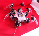 Araignée hexapode bionique éducative argentée de 6 jambes de robot de Diy Arduino DOF