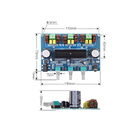 Panneau audio DC12V d'amplificateur de puissance de la Manche TPA3116 2,1 avec l'efficacité de 90%